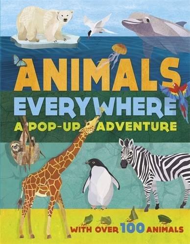 Animals Everywhere