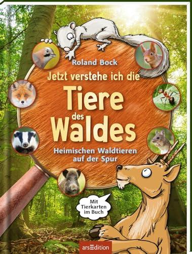 Jetzt verstehe ich die Tiere des Waldes: Heimischen Waldtieren auf der Spur – mit Tierkarten im Buch | Kindersachbuch zu den 16 wichtigsten heimischen Tieren ab 6 Jahren