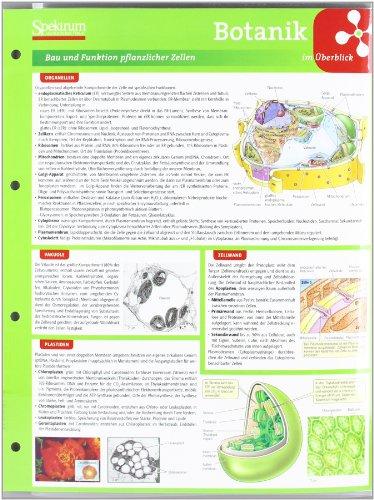 Lerntafel: Botanik im Überblick (Lerntafeln Biologie)