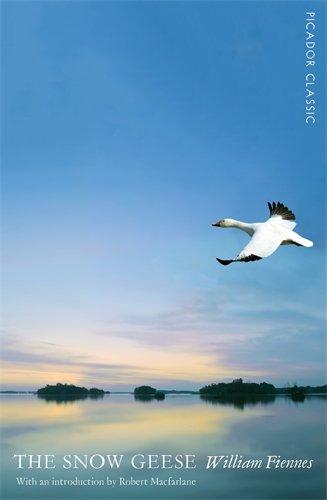 The Snow Geese (Picador Classic, Band 17)