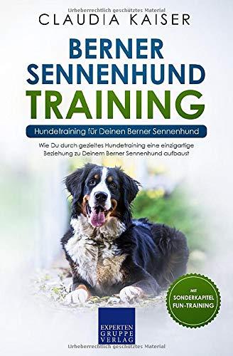 Berner Sennenhund Training - Hundetraining für Deinen Berner Sennenhund: Wie Du durch gezieltes Hundetraining eine einzigartige Beziehung zu Deinem ... aufbaust (Berner Sennenhund Band, Band 2)