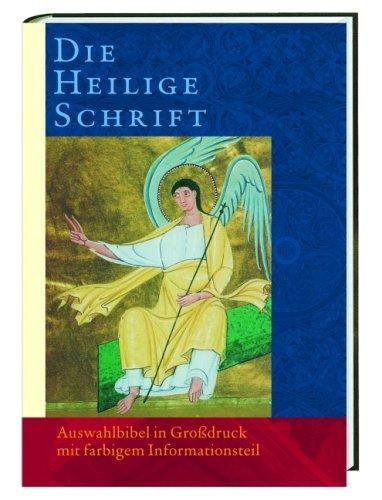 Die Heilige Schrift. Großdruck: Auswahlbibel in Großdruck mit farbigem Informationsteil