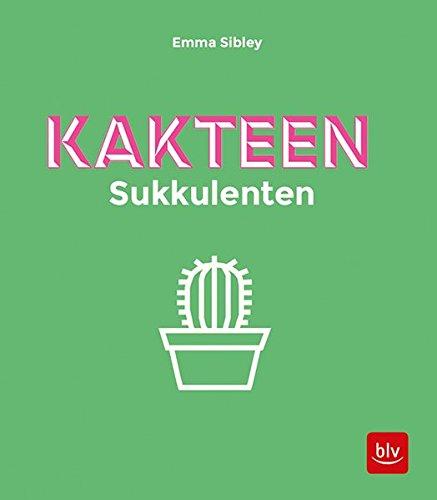 Kakteen Sukkulenten