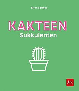 Kakteen Sukkulenten