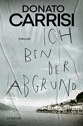 Ich bin der Abgrund: Thriller