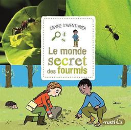 Le monde secret des fourmis