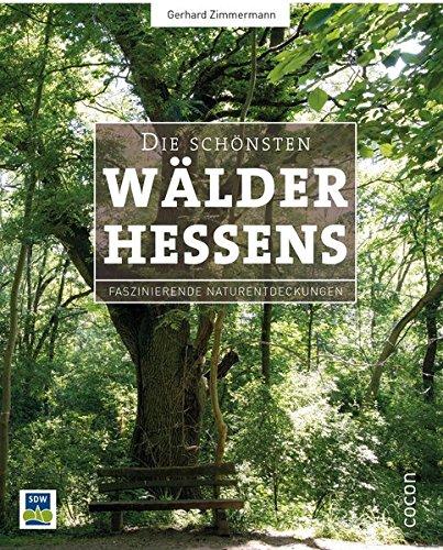 Die schönsten Wälder Hessens: Faszinierende Naturentdeckungen