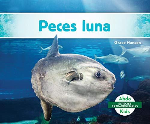 Peces Luna (Mola Ocean Sunfish) (Especies Extraordinarias)