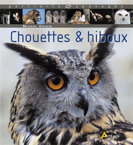 Chouettes et hiboux