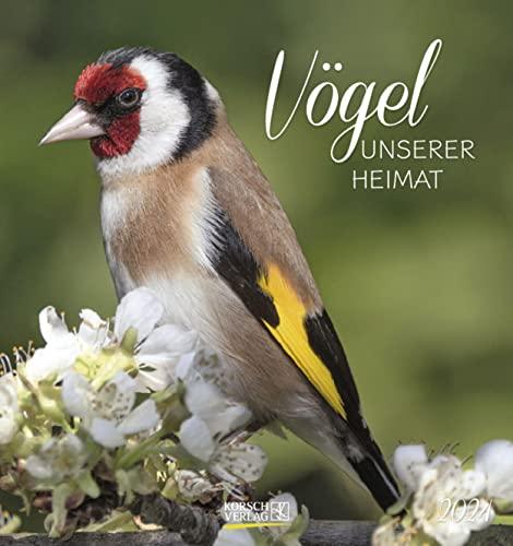 Vögel unserer Heimat 2024: Aufstellbarer Postkartenkalender mit Bildern von Vögeln in der Natur der Heimat. Tisch- und Wandkalender.