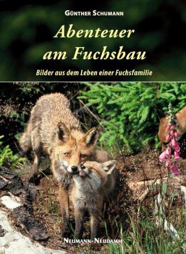 Abenteuer am Fuchsbau: Bilder aus dem Leben einer Fuchsfamilie