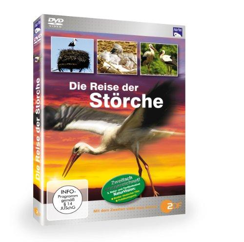 Die Reise der Störche