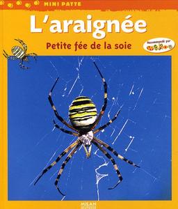 L'araignée : petite fée de la soie