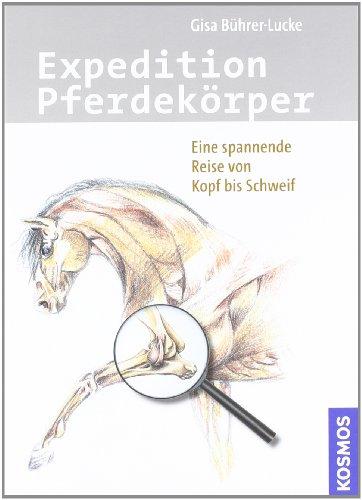 Expedition Pferdekörper: Eine spannende Reise von Kopf bis Schweif