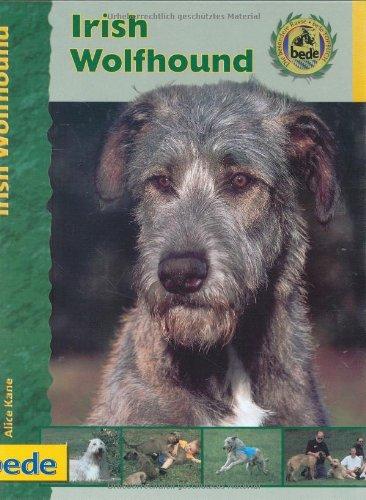 Irish Wolfhound, Praxisratgeber