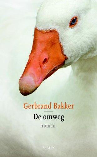 De omweg