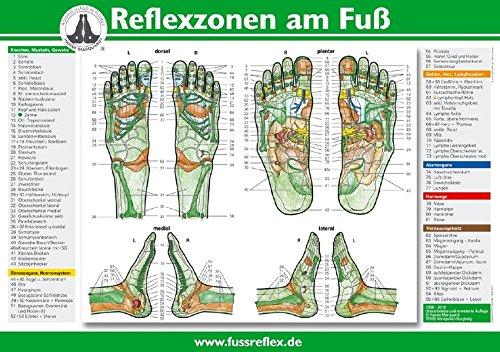 Reflexzonen am Fuß (A4)