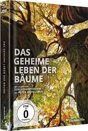 Peter Wohlleben - Das geheime Leben der Bäume - Limited Mediabook [Blu-ray + DVD]