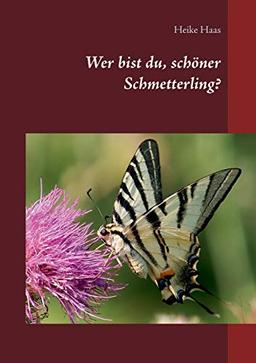 Wer bist du, schöner Schmetterling?