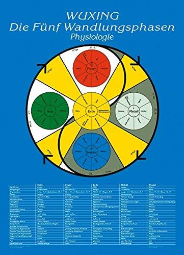 Die Fünf Wandlungsphasen: Physiologie: Lehrtafel in A4