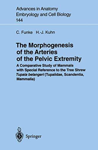 The Morphogenesis of the Arteries of the Pelvic Extremity: A Comparative Study of Mammals with Special Reference to the Tree Shrew Tupaia belangeri ... Embryology and Cell Biology, 144, Band 144)