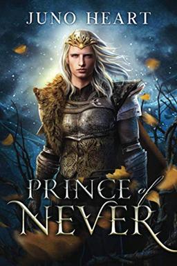 Prince of Never: A Fae Romance (Black Blood Fae, Band 1)