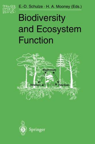 Biodiversity and Ecosystem Function (Springer Study Edition)