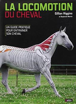 La locomotion du cheval : un guide pratique pour entraîner son cheval