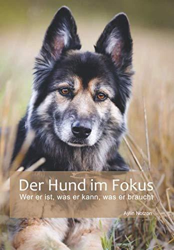 Der Hund im Fokus: Wer er ist, was er kann, was er braucht