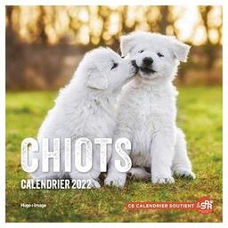 Chiots : calendrier 2022