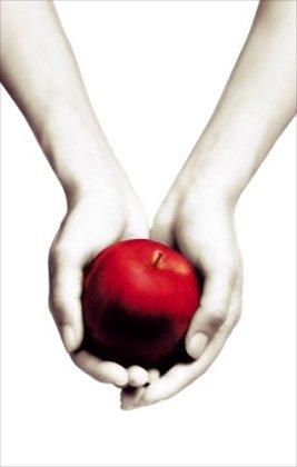 Twilight. White Cover (Twilight Saga)