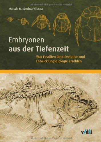 Embryonen aus der Tiefenzeit: Was Fossilien über Evolution und Entwicklungsbiologie erzählen: Was Fossilien über Evolution und Entwicklungsgenetik erzählen