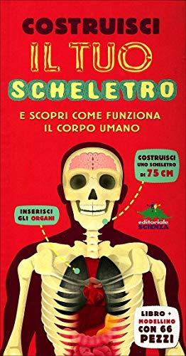 Costruisci il tuo scheletro e scopri come funziona il corpo umano