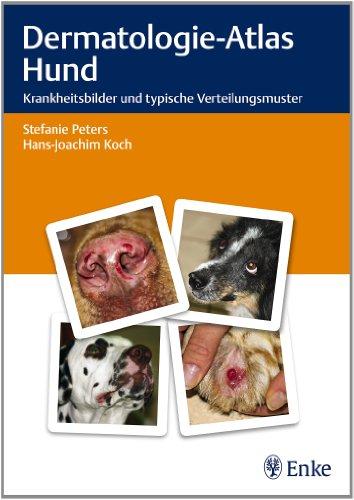 Dermatologie-Atlas Hund: Krankheitsbilder und typische Verteilungsmuster