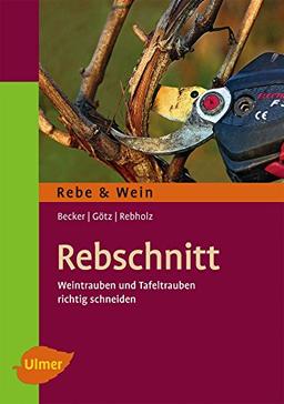 Rebschnitt: Weintrauben und Tafeltrauben richtig schneiden