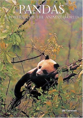 Pandas: A Portrait of the Animal World (Portraits of the Animal World)