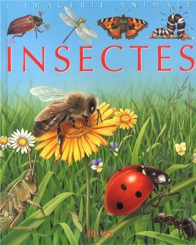 Les insectes : pour les faire connaître aux enfants