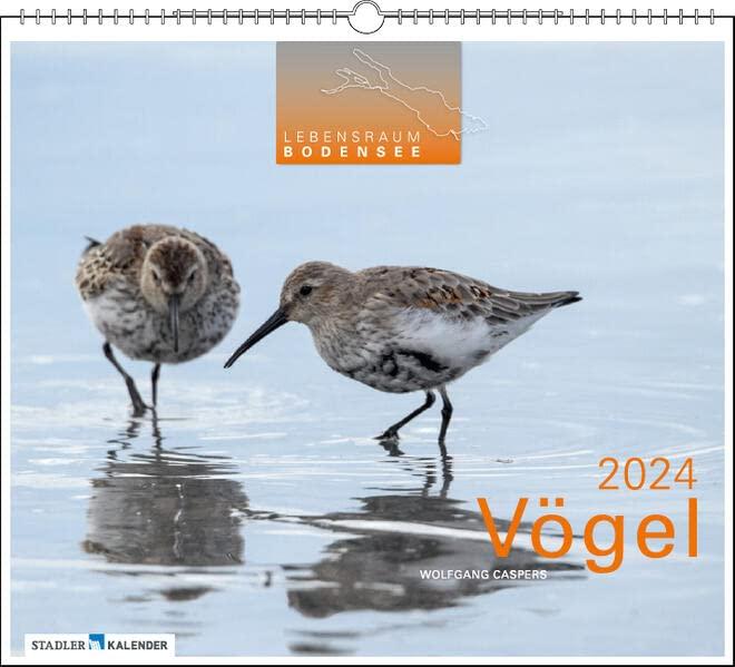 Lebensraum Bodensee - Vögel 2024