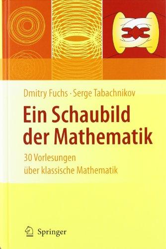 Ein Schaubild der Mathematik: 30 Vorlesungen über klassische Mathematik