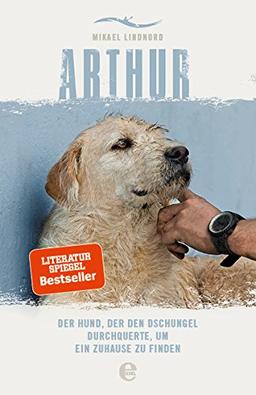 Arthur: Der Hund, der den Dschungel durchquerte, um ein Zuhause zu finden