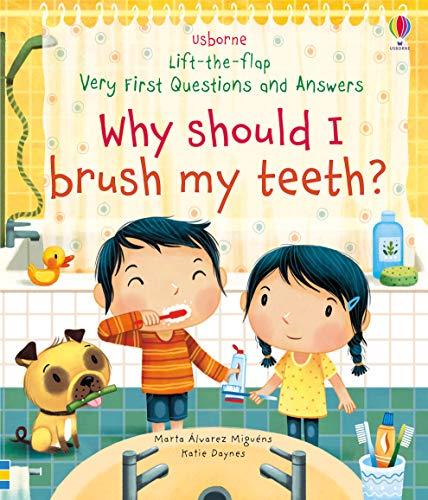 Daynes, K: Why Should I Brush My Teeth? (Very First Lift-the-Flap Questions and Answers)