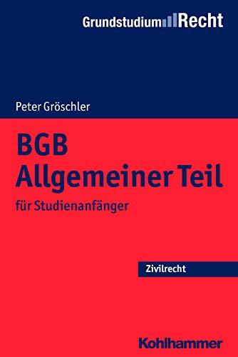 BGB Allgemeiner Teil: für Studienanfänger (Grundstudium Recht)