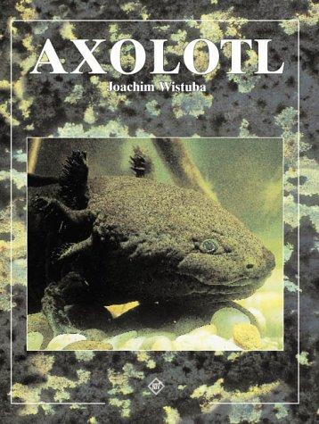 Axolotl