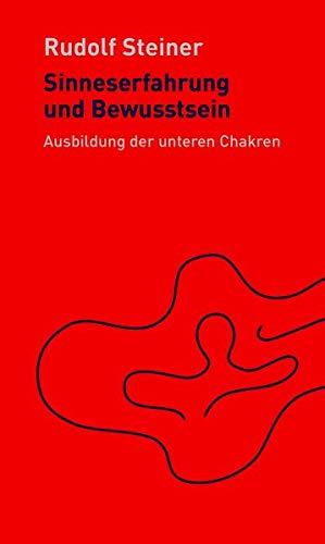 Sinneserfahrung und Bewusstsein: Die Ausbildung der unteren Chakren (Die kleinen Begleiter)