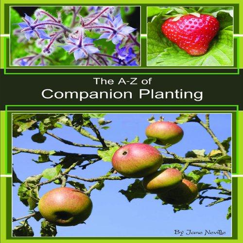 A - Z of Companion Planting