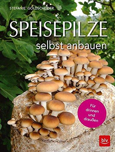 Speisepilze selbst anbauen: Für drinnen und draußen