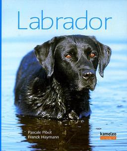 Labrador