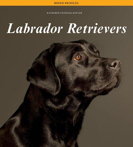 Labrador Retrievers (Breed Profiles)