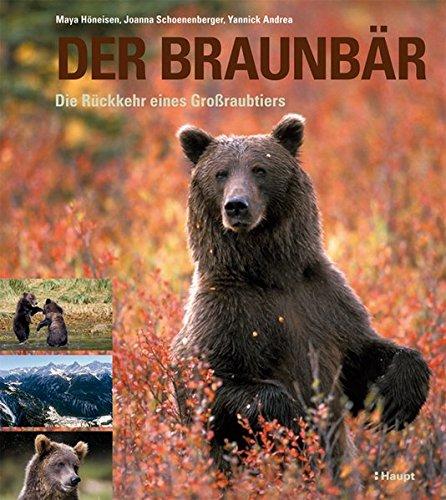 Der Braunbär: Die Rückkehr eines Großraubtiers