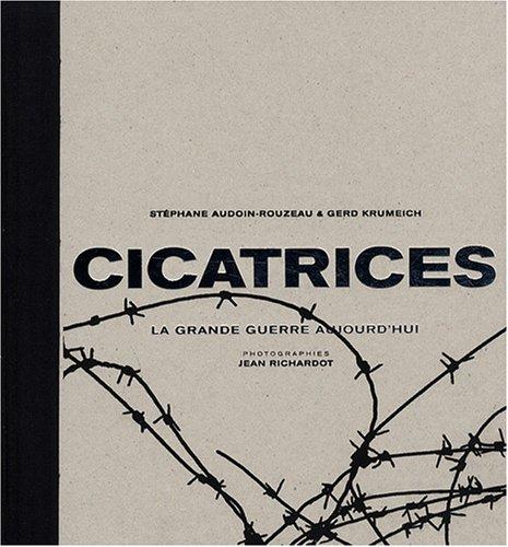 Cicatrices : la Grande guerre aujourd'hui